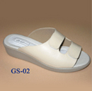 GS 02