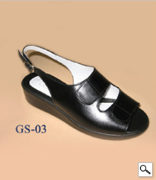 GS 03